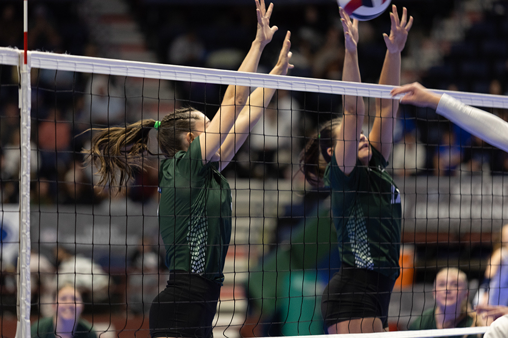 %_tempFileName1M6A4293%