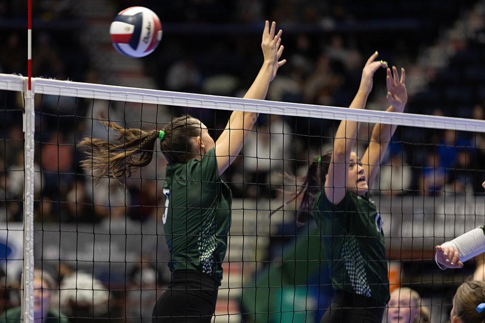 %_tempFileName1M6A4295%