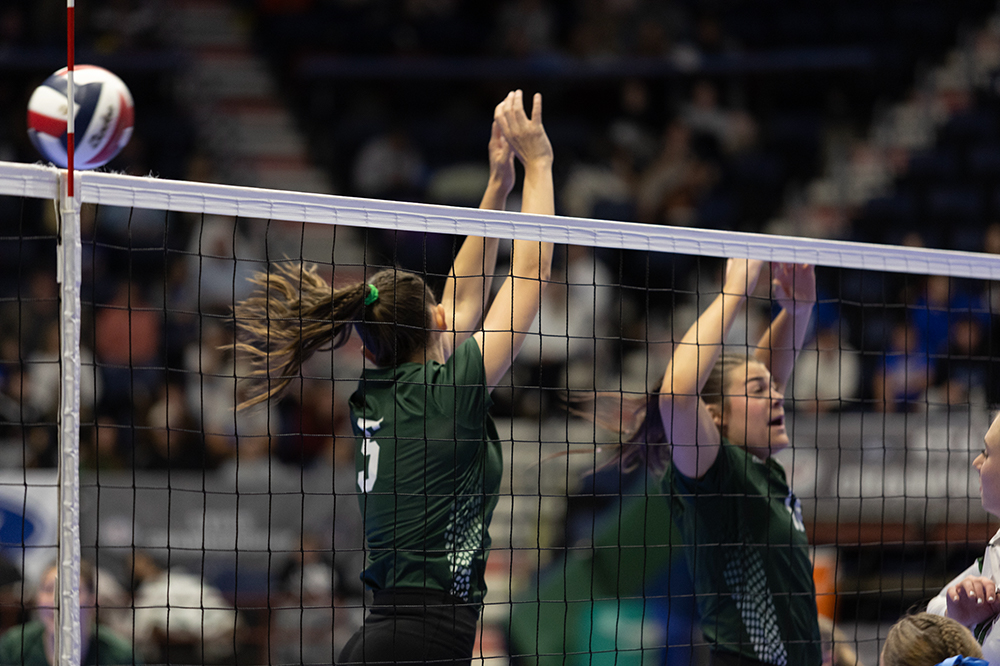 %_tempFileName1M6A4296%