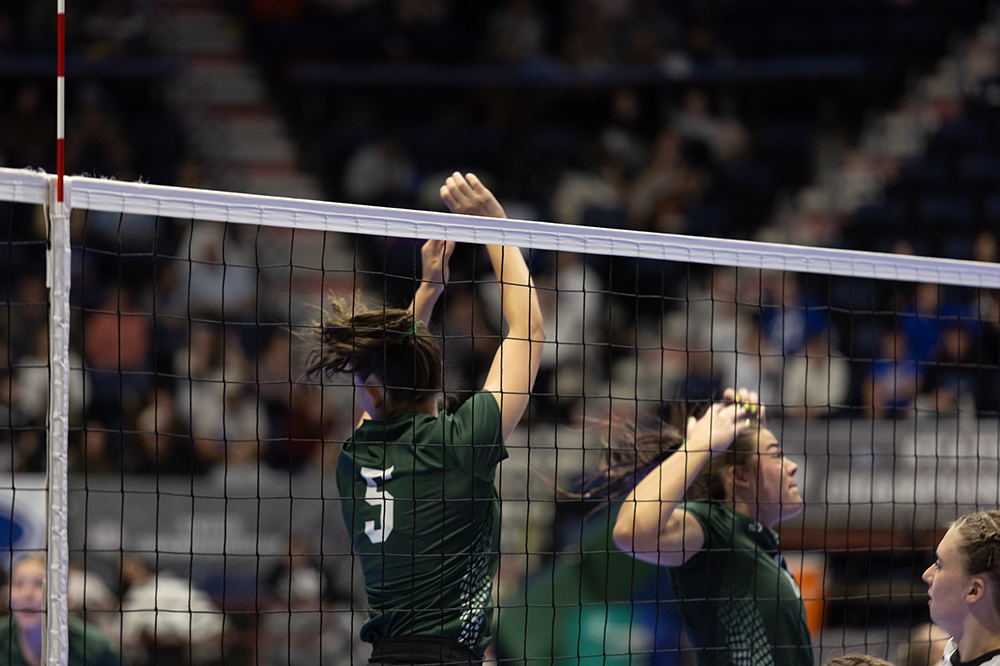 %_tempFileName1M6A4297%