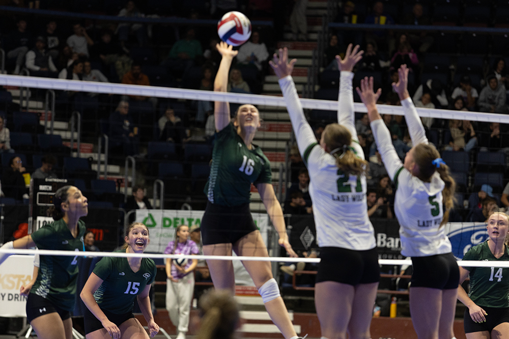 %_tempFileName1M6A4309%