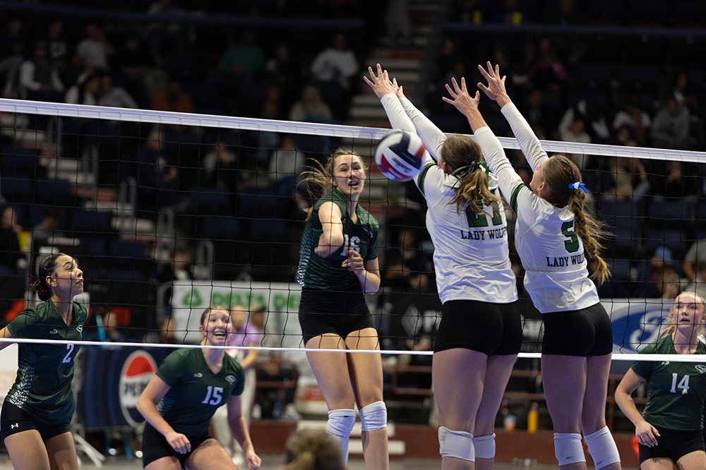 %_tempFileName1M6A4311%