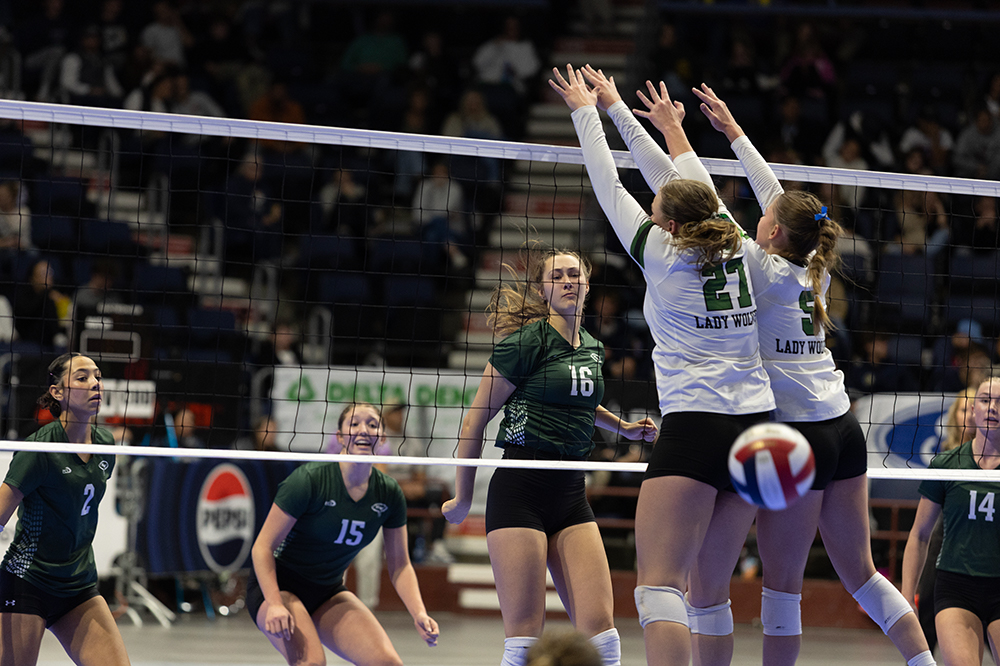 %_tempFileName1M6A4313%