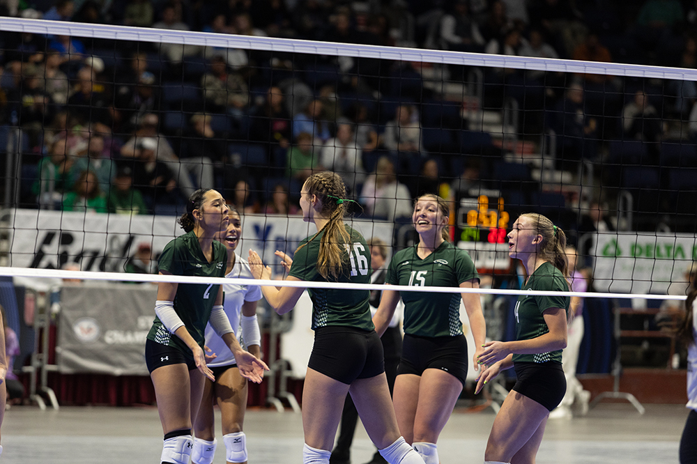 %_tempFileName1M6A4333%