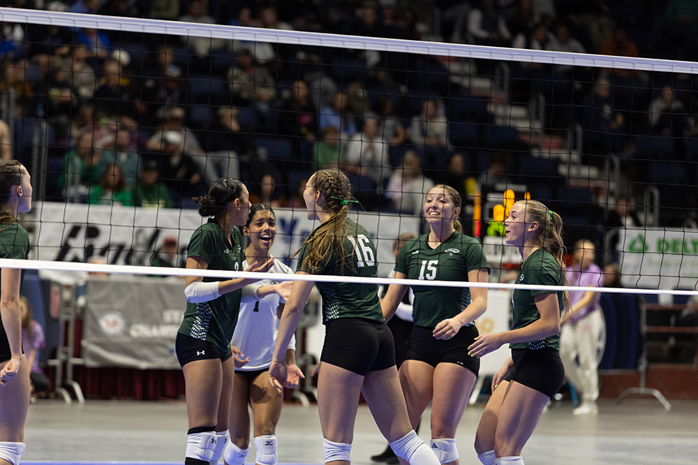 %_tempFileName1M6A4335%