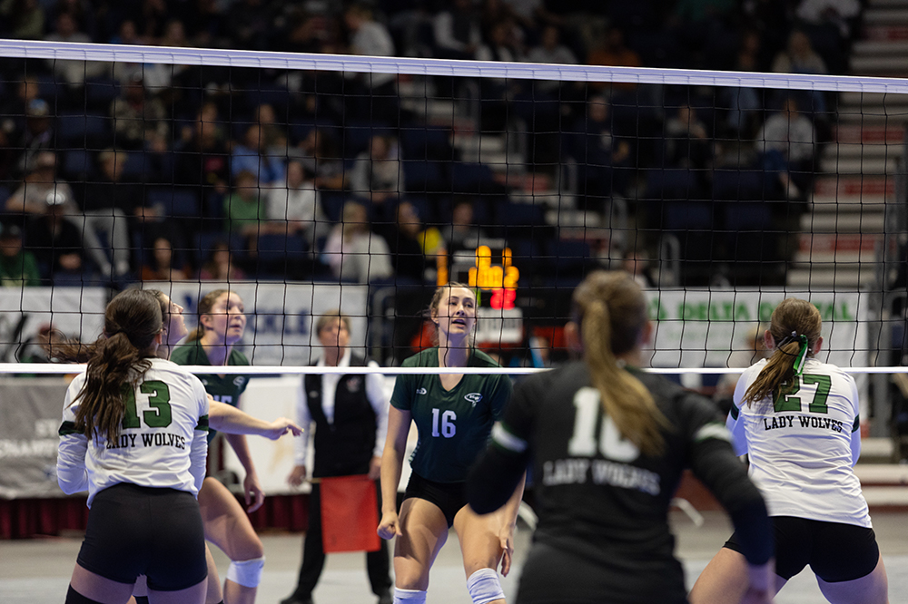 %_tempFileName1M6A4341%