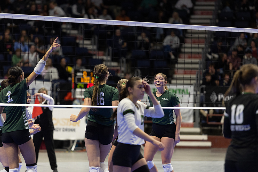 %_tempFileName1M6A4342%