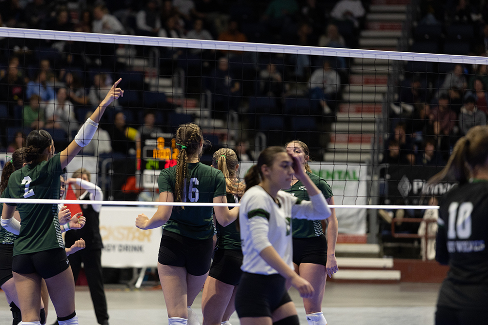 %_tempFileName1M6A4343%