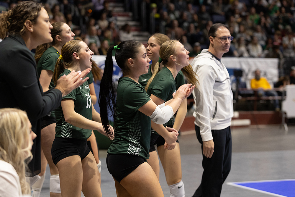 %_tempFileName1M6A4373%