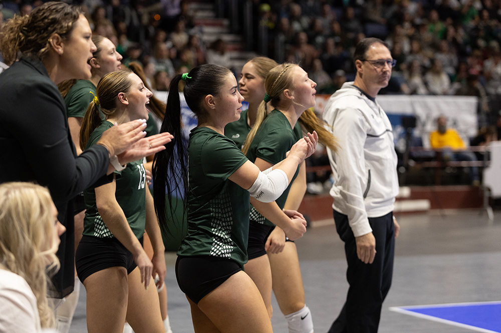 %_tempFileName1M6A4374%