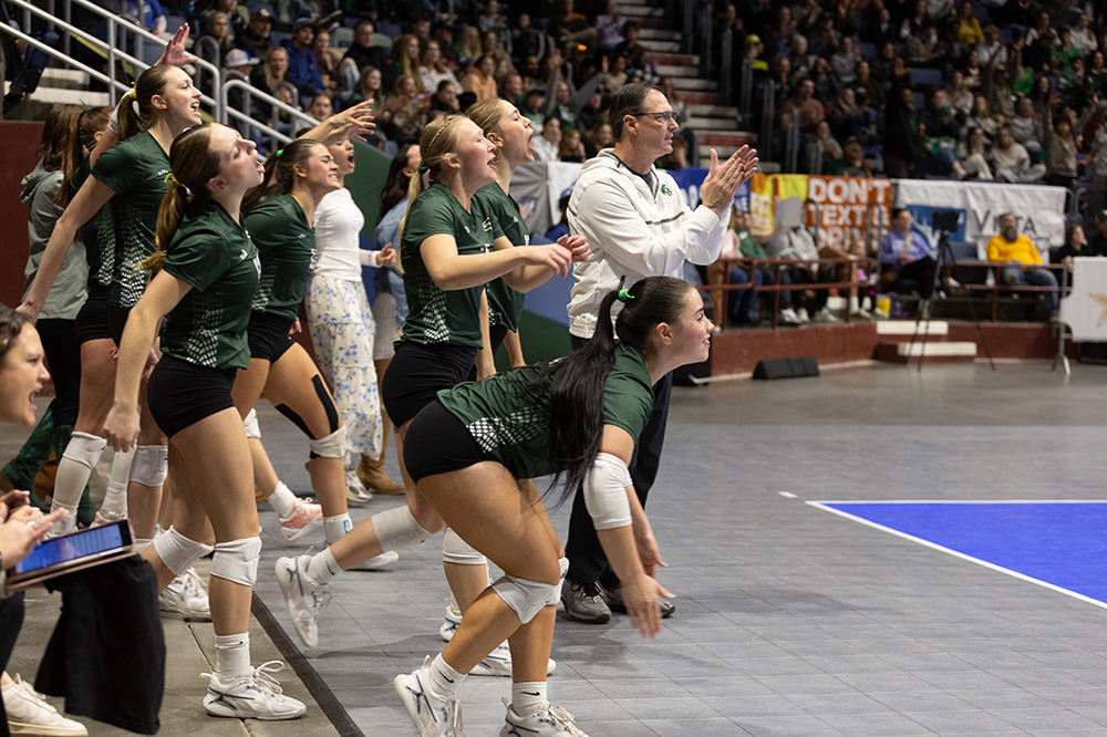 %_tempFileName1M6A4377%