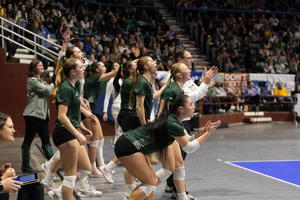 %_tempFileName1M6A4384%