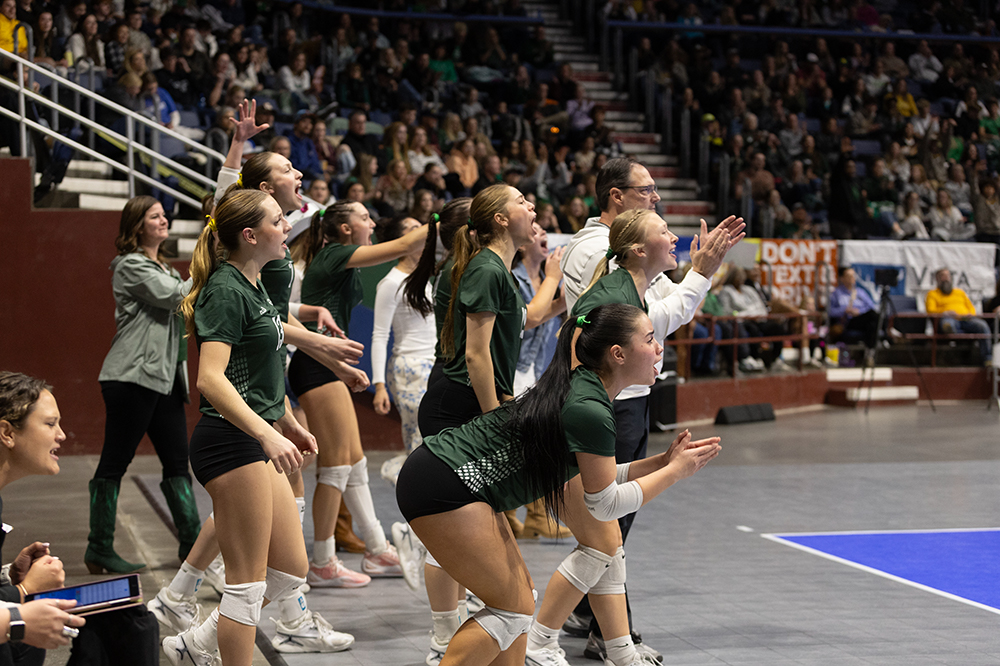 %_tempFileName1M6A4385%