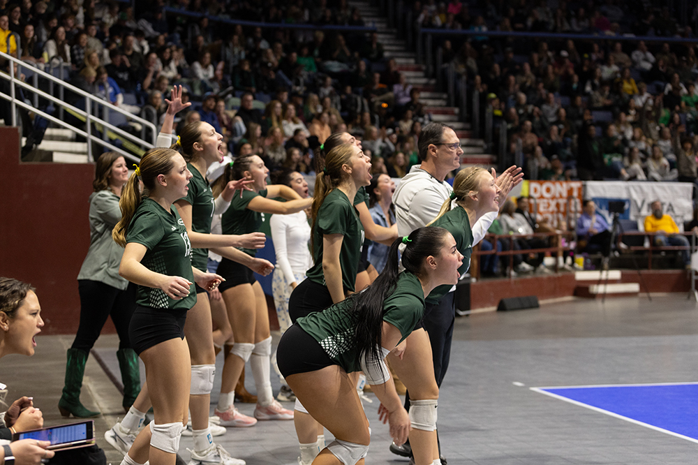 %_tempFileName1M6A4387%