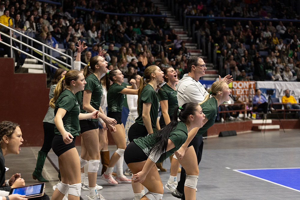 %_tempFileName1M6A4390%