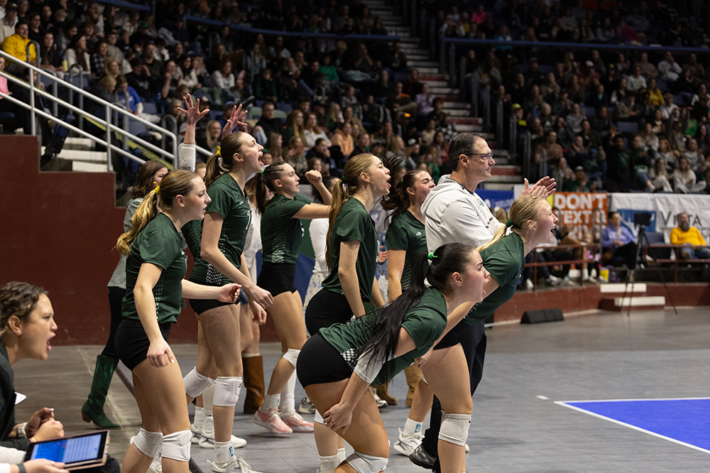 %_tempFileName1M6A4391%