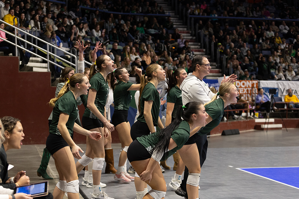 %_tempFileName1M6A4392%