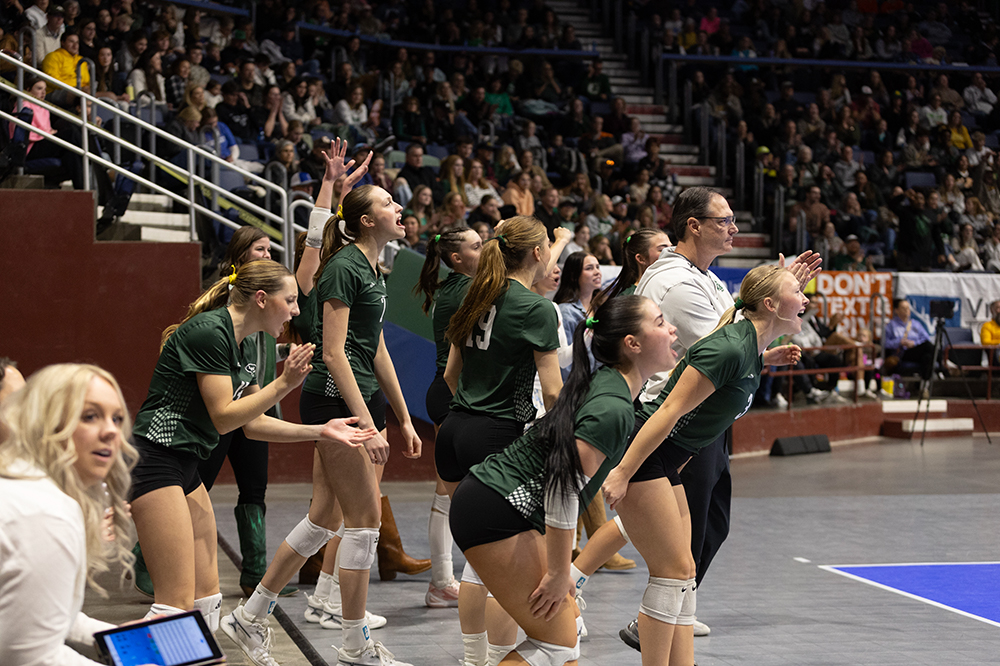 %_tempFileName1M6A4393%