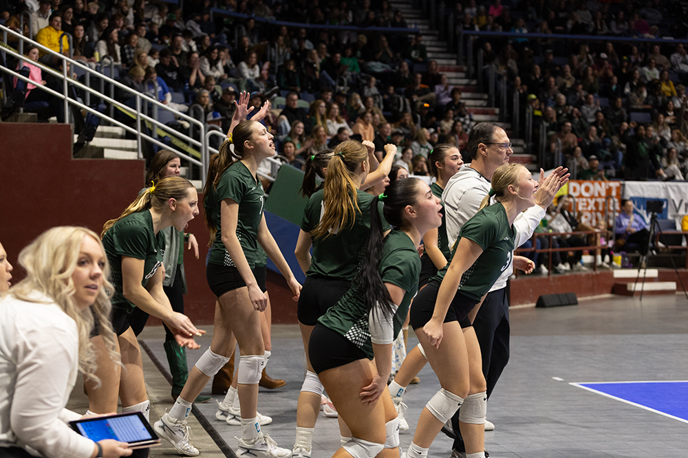 %_tempFileName1M6A4395%