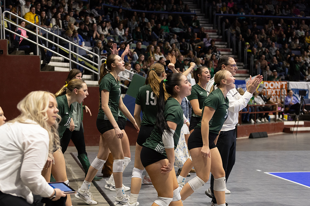 %_tempFileName1M6A4397%