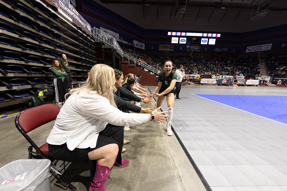 %_tempFileName1M6A4438%