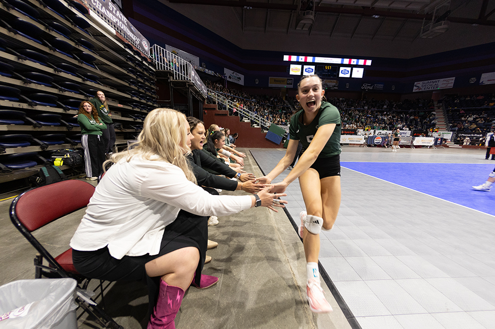 %_tempFileName1M6A4441%