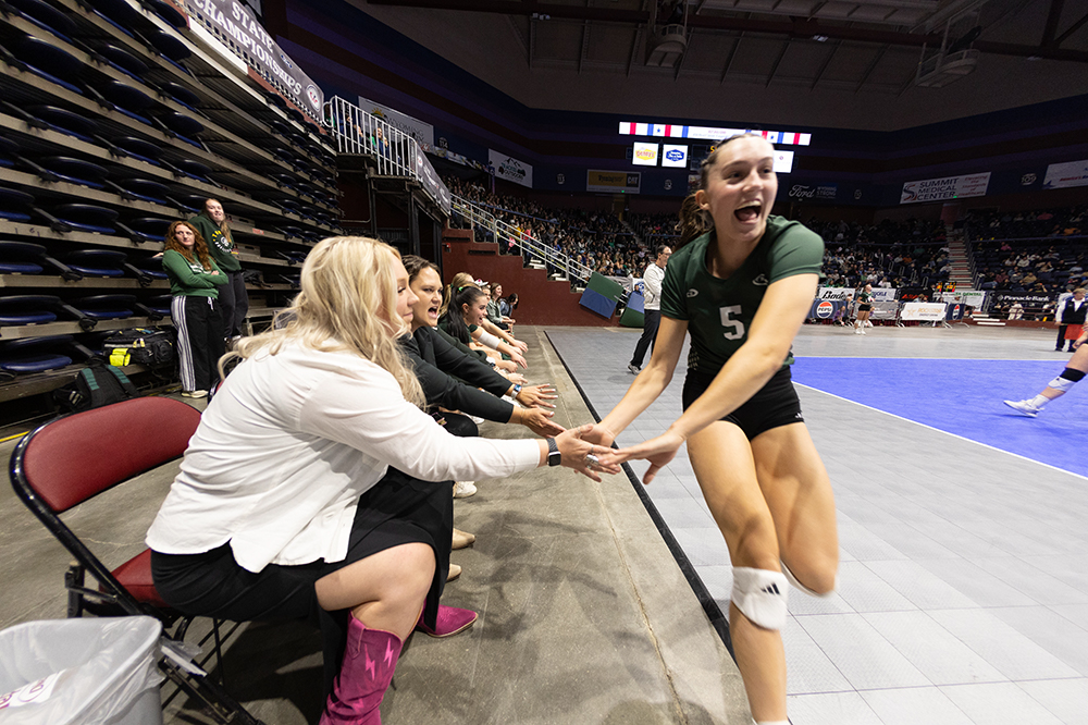 %_tempFileName1M6A4442%