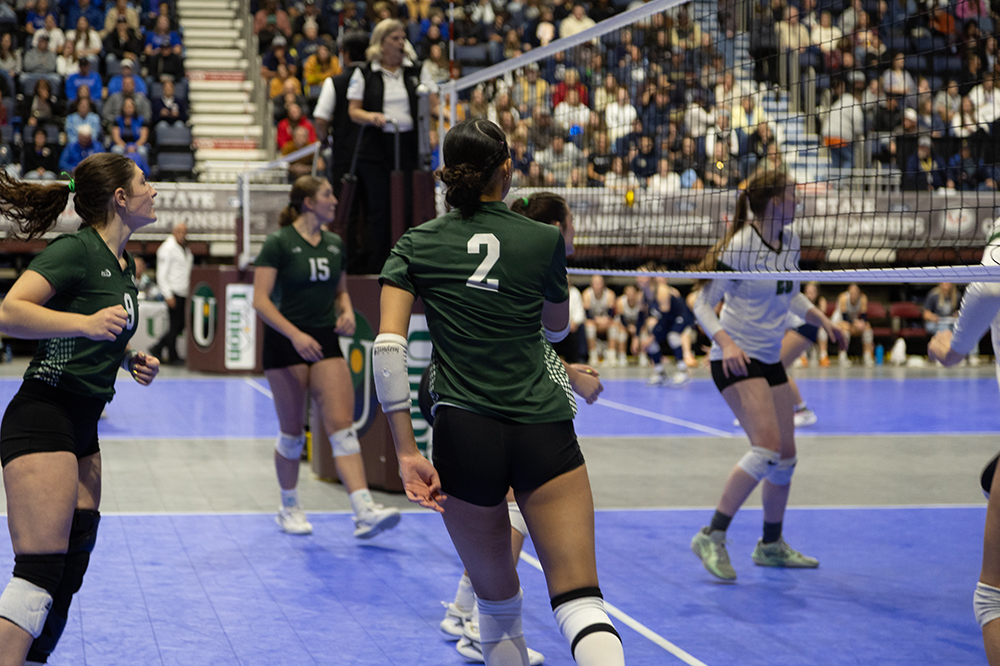 %_tempFileName1M6A4478%