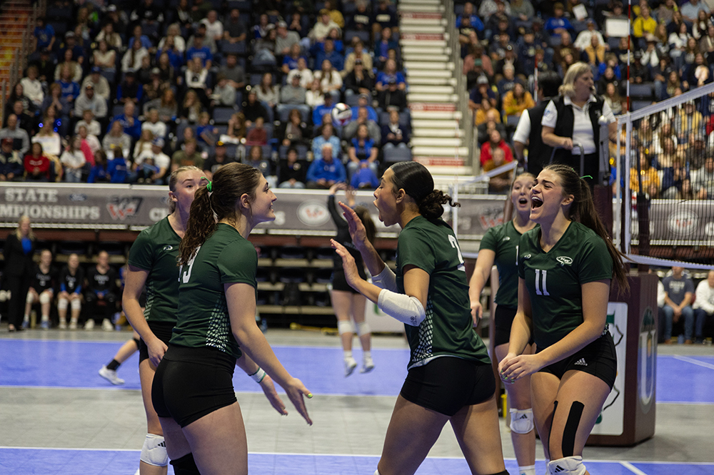 %_tempFileName1M6A4491%