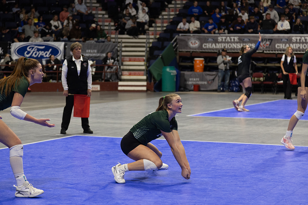 %_tempFileName1M6A4557%