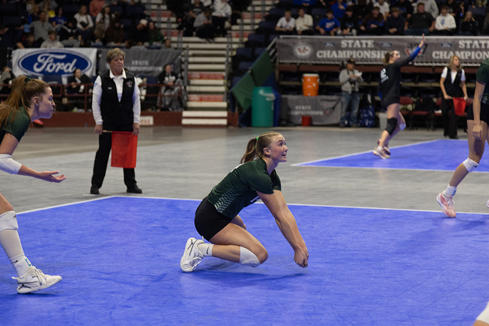 %_tempFileName1M6A4558%