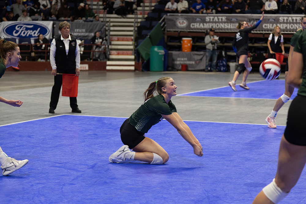 %_tempFileName1M6A4559%