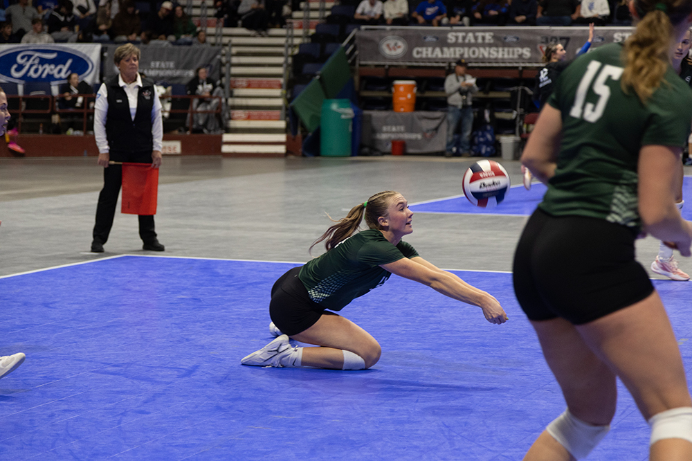 %_tempFileName1M6A4561%