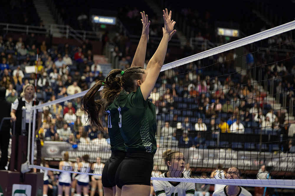 %_tempFileName1M6A4565%