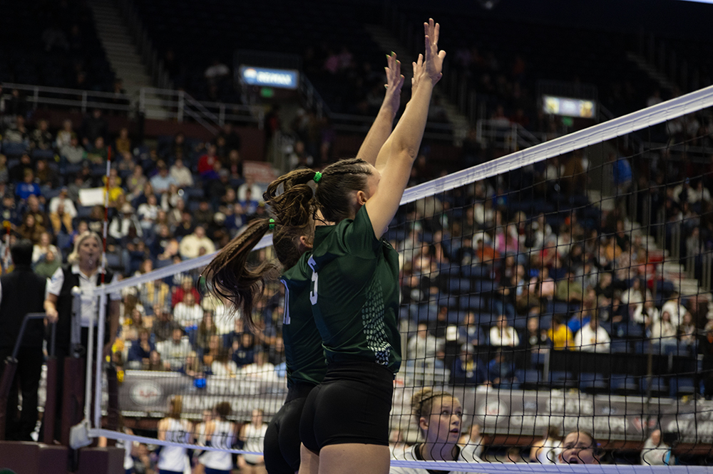 %_tempFileName1M6A4566%