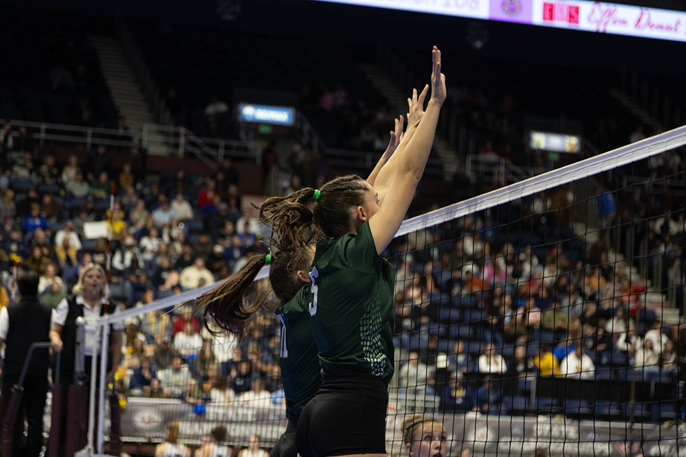 %_tempFileName1M6A4567%