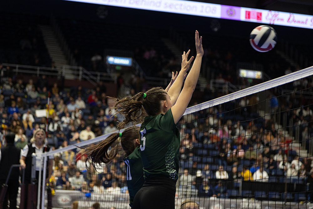 %_tempFileName1M6A4568%