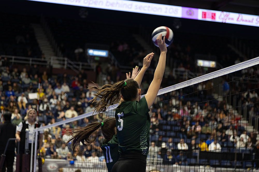 %_tempFileName1M6A4569%