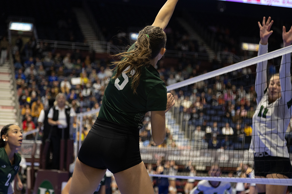 %_tempFileName1M6A4576%