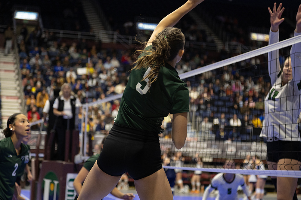 %_tempFileName1M6A4577%