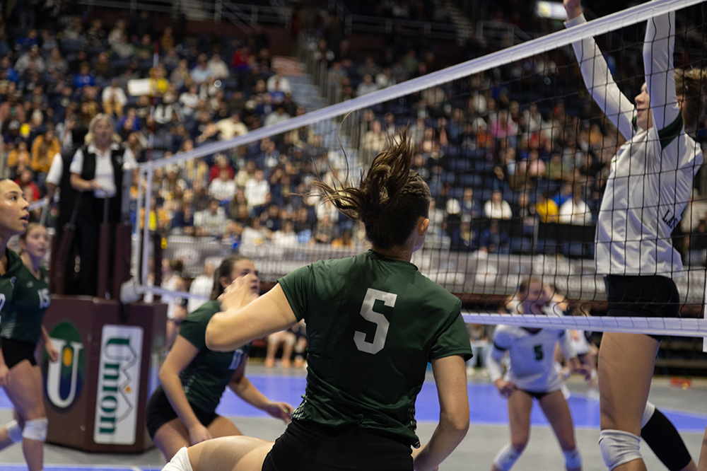 %_tempFileName1M6A4580%