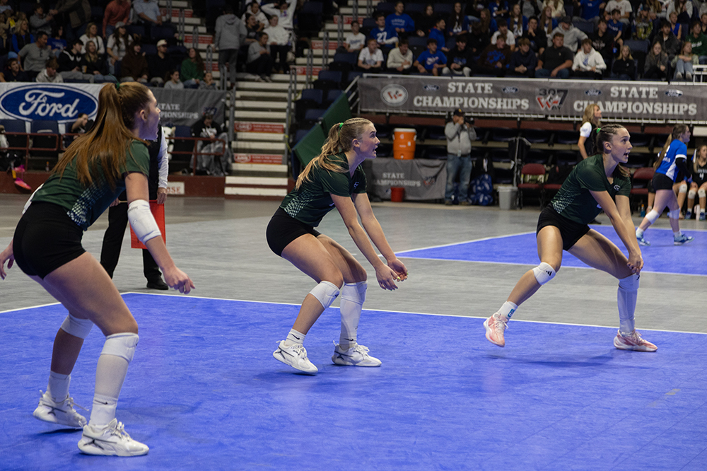 %_tempFileName1M6A4581%