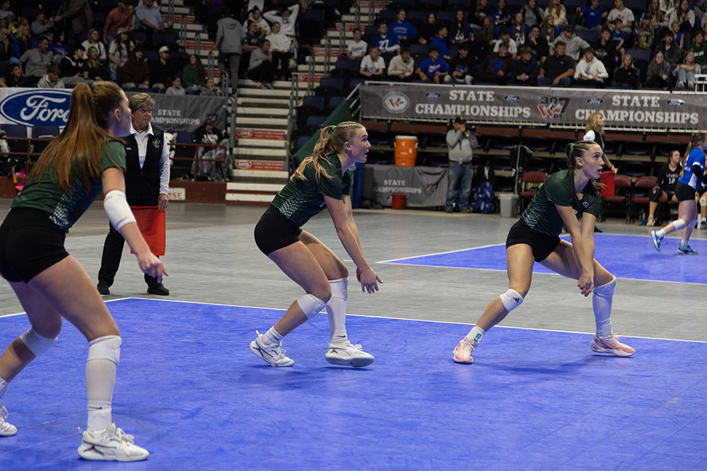 %_tempFileName1M6A4583%