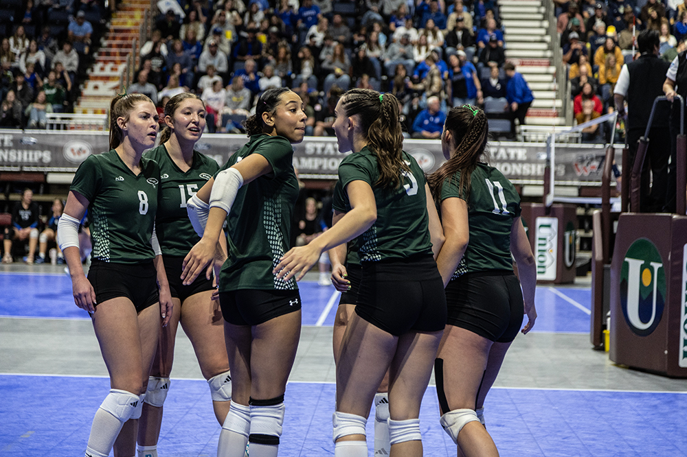 %_tempFileName1M6A4605%