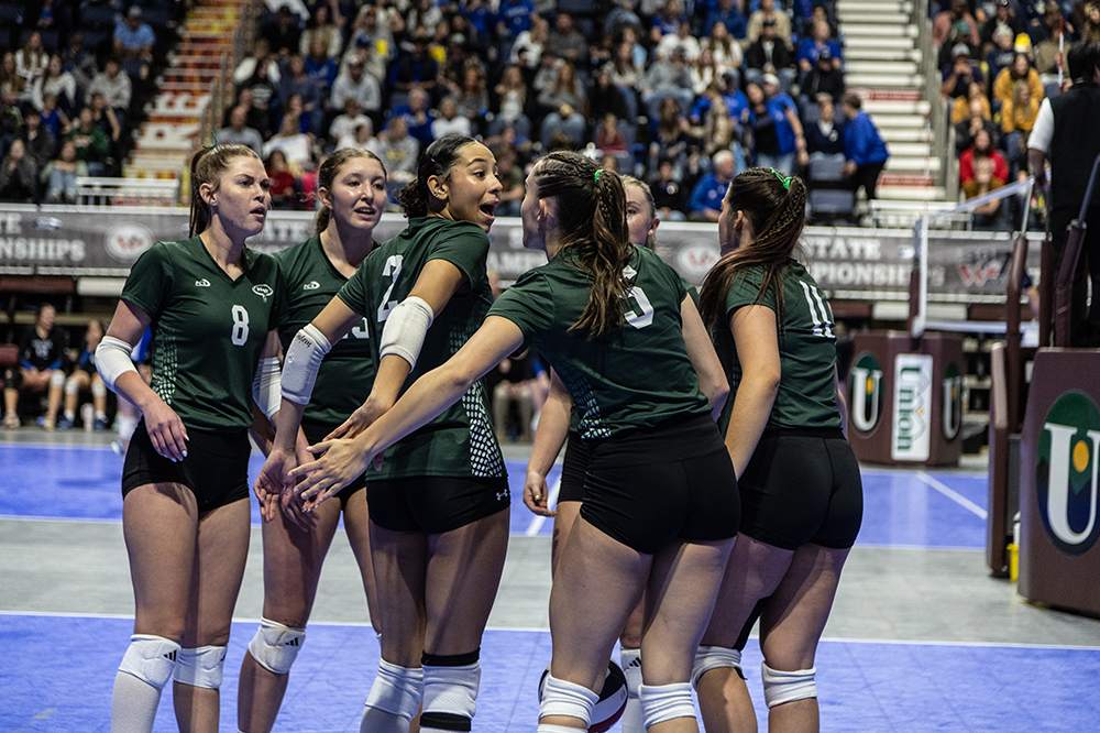 %_tempFileName1M6A4608%