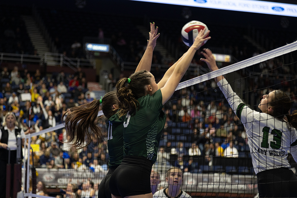 %_tempFileName1M6A4615%