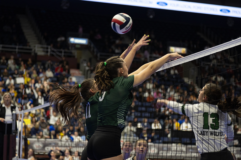 %_tempFileName1M6A4616%