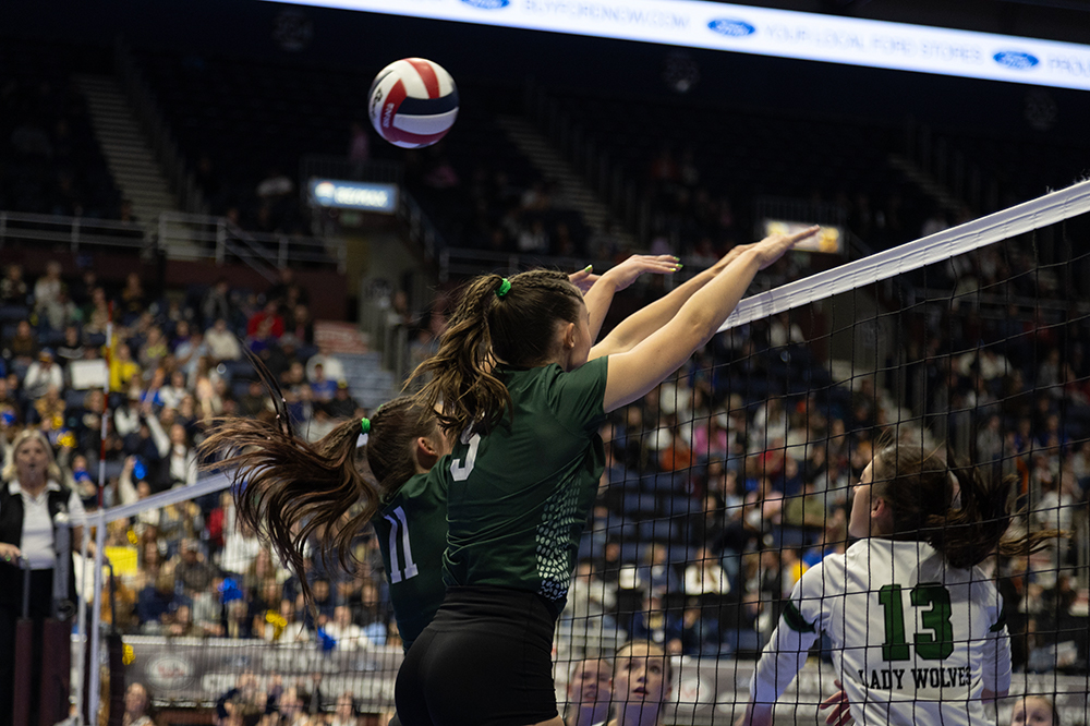 %_tempFileName1M6A4617%