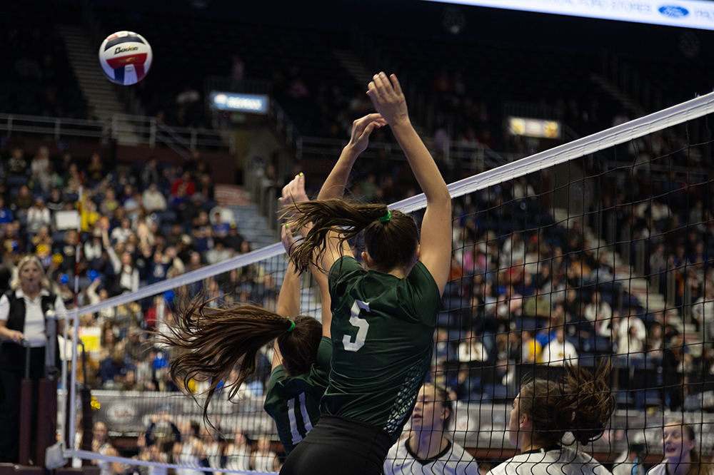 %_tempFileName1M6A4619%