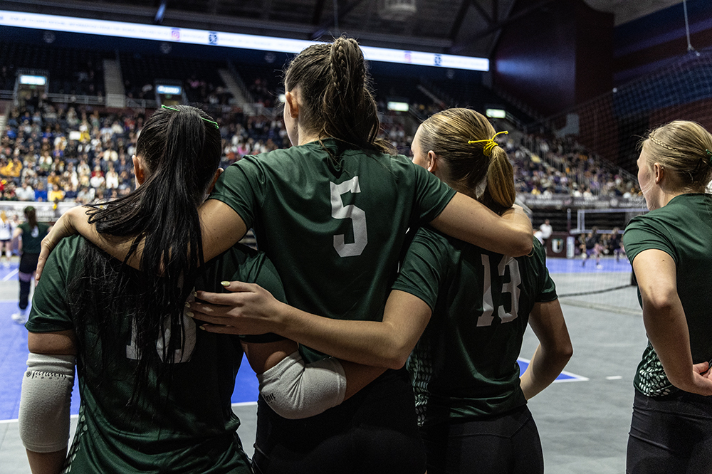 %_tempFileName1M6A4641%